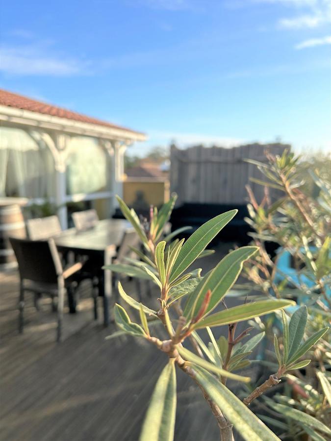 몰리엣젯마 Surf Ou Golf House A Quelques Pas De L'Ocean 아파트 외부 사진